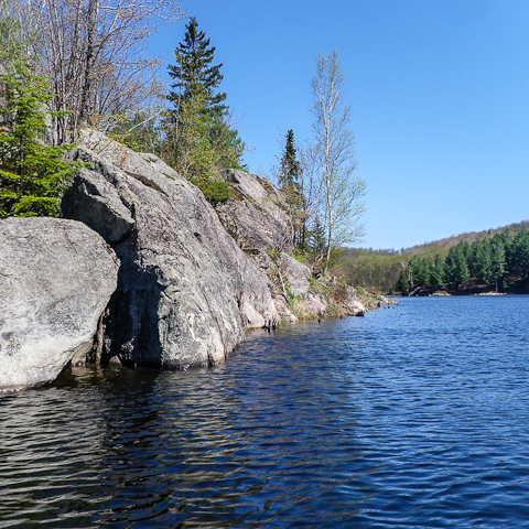 Content Dam Ww Online Articles 2017 02 Imgp0617