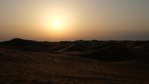 Abu Dhabi Desert