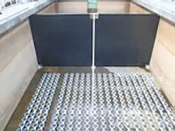 Content Dam Ww Print Articles 2017 03 1703wwprd P01 Content Dam Ww Print Articles 2017 03 1703wwprd P01