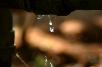 Content Dam Ww Online Articles 2017 05 Leak