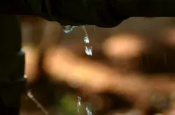 Content Dam Ww Online Articles 2017 05 Leak Content Dam Ww Online Articles 2017 05 Leak