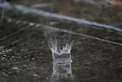 Content Dam Ww Online Articles 2017 08 Have You Ever Seen The Rain 2570902525 Content Dam Ww Online Articles 2017 08 Have You Ever Seen The Rain 2570902525