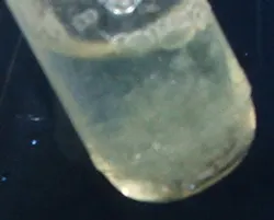 Content Dam Ww Online Articles 2017 08 Lead Ii Hydroxide Solution Copy Content Dam Ww Online Articles 2017 08 Lead Ii Hydroxide Solution Copy