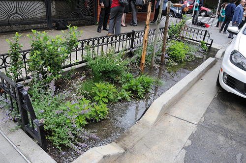 Bioswale in Bushwick, Brooklyn. Photo NYC Water.