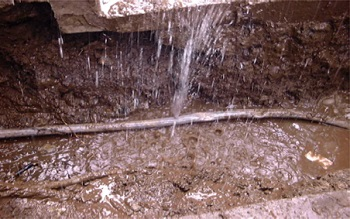 Content Dam Ww Online Articles 2017 09 Tokyo Leak