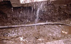 Content Dam Ww Online Articles 2017 09 Tokyo Leak Content Dam Ww Online Articles 2017 09 Tokyo Leak