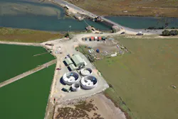 Content Dam Ww Online Articles 2017 10 Mb Process Content Dam Ww Online Articles 2017 10 Mb Process