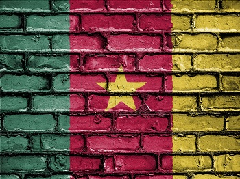 Content Dam Ww Online Articles 2017 11 Cameroon Flag
