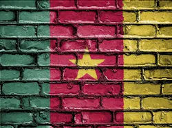 Content Dam Ww Online Articles 2017 11 Cameroon Flag Content Dam Ww Online Articles 2017 11 Cameroon Flag
