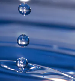 Content Dam Ww Online Articles 2017 11 Goute Eau Content Dam Ww Online Articles 2017 11 Goute Eau