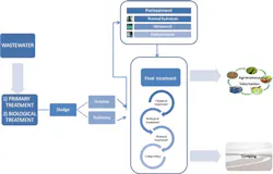 Lifeox Figure 2 Lifeox Figure 2