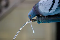 Content Dam Ww Online Articles 2017 12 Animal 2369628 640 Content Dam Ww Online Articles 2017 12 Animal 2369628 640