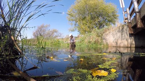 Content Dam Ww Online Articles 2017 12 Kacibaillies Waunakeewatersample Preview