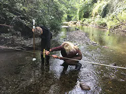 Sw1801 12 300x225 Sw1801 12 300x225