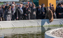 All Gas Pond 1 All Gas Pond 1