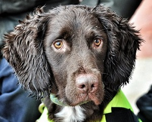 Content Dam Ww Online Articles 2018 02 Snipe Thumb