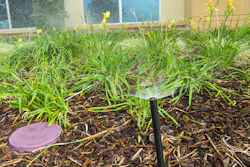 Recycledwaterimages 201711 0110a Recycledwaterimages 201711 0110a