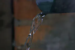 Content Dam Ww Online Articles 2018 04 Nature 3334303 640 Content Dam Ww Online Articles 2018 04 Nature 3334303 640