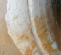 We1805 50 2 We1805 50 2