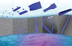 1805wwft1 P01 1805wwft1 P01