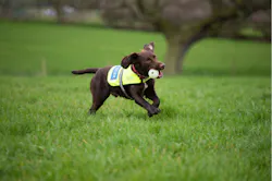 1805wwionesnipe6873 1805wwionesnipe6873