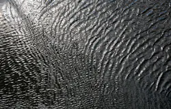 Content Dam Ww Online Articles 2018 06 Water Surface Content Dam Ww Online Articles 2018 06 Water Surface