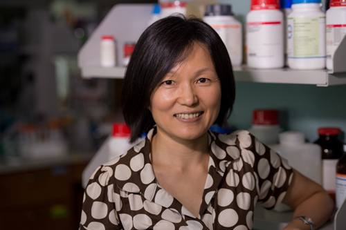 Content Dam Ww Online Articles 2018 07 170623 Newt Qilin Lg 2gvtpup