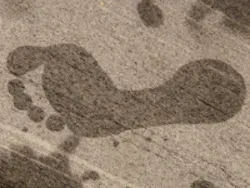 Content Dam Ww Online Articles 2018 10 Ww Newscast 20181015 Water Footprint 3098 Pixabay Cc0 200x150 Content Dam Ww Online Articles 2018 10 Ww Newscast 20181015 Water Footprint 3098 Pixabay Cc0 200x150