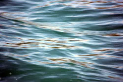 Content Dam Ww Online Articles 2018 10 Ww Water Background 3 1383578603n7j Content Dam Ww Online Articles 2018 10 Ww Water Background 3 1383578603n7j