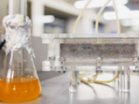 Content Dam Ww Online Articles 2018 11 Ww Newscast 20181112 Story1c Biobricks Urine 02 University Of Cape Town