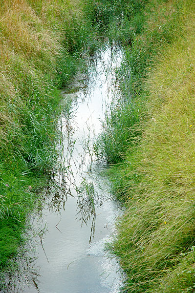 Content Dam Ww Online Articles 2019 01 Ww Ditchwater