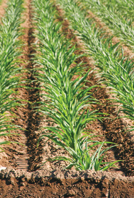 Content Dam Ww En Articles Print Volume 33 Issue 11 Features Shifting Tcp Treatment Costs To Polluters Leftcolumn Article Thumbnailimage File