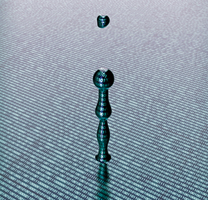 We1905 18 5cb611e18e5f5