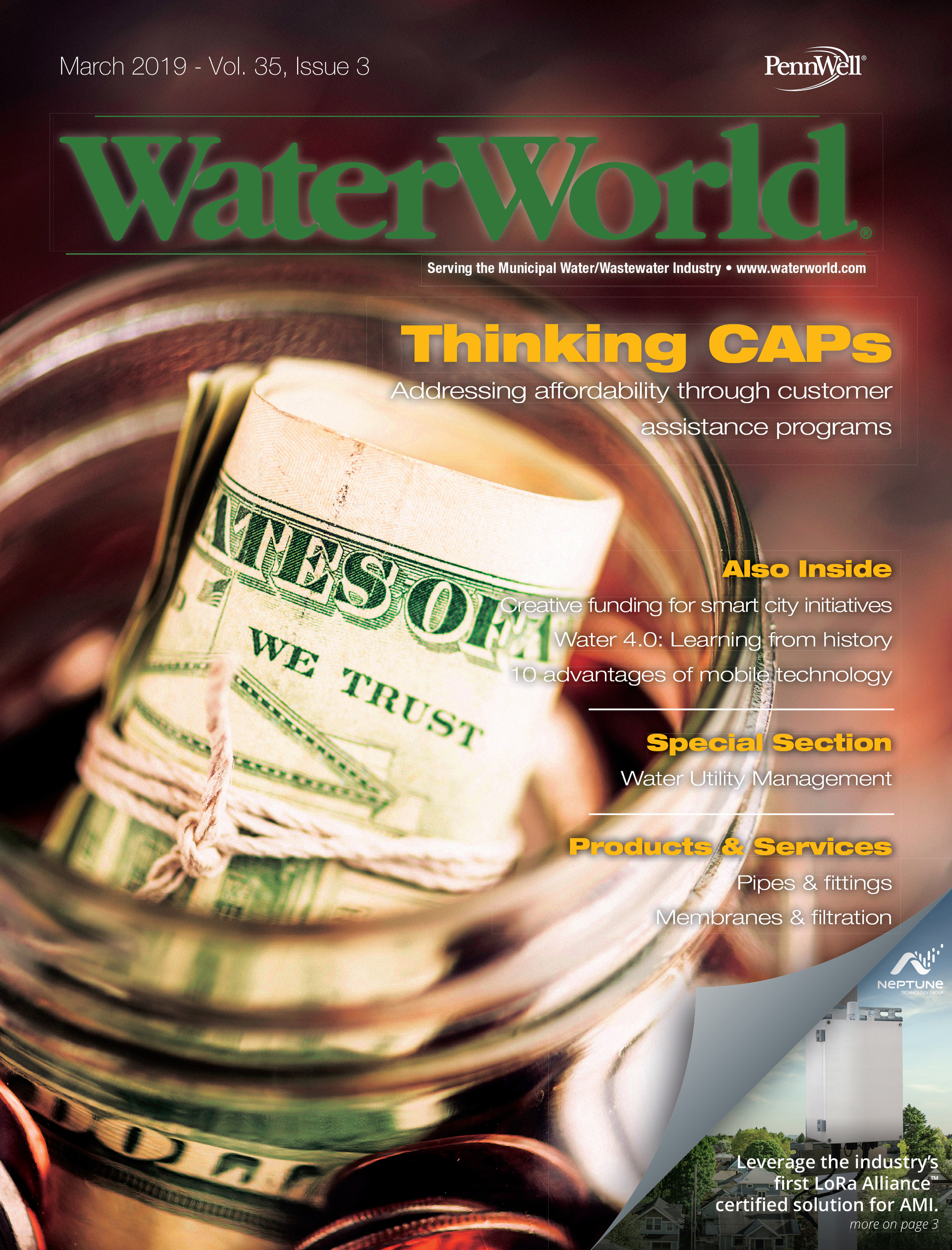 Volume 35, Issue 3, March 2019 cover image