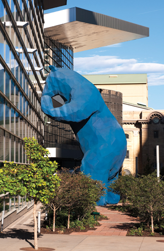 1905wwa01 P02 031v2 Blue Bear