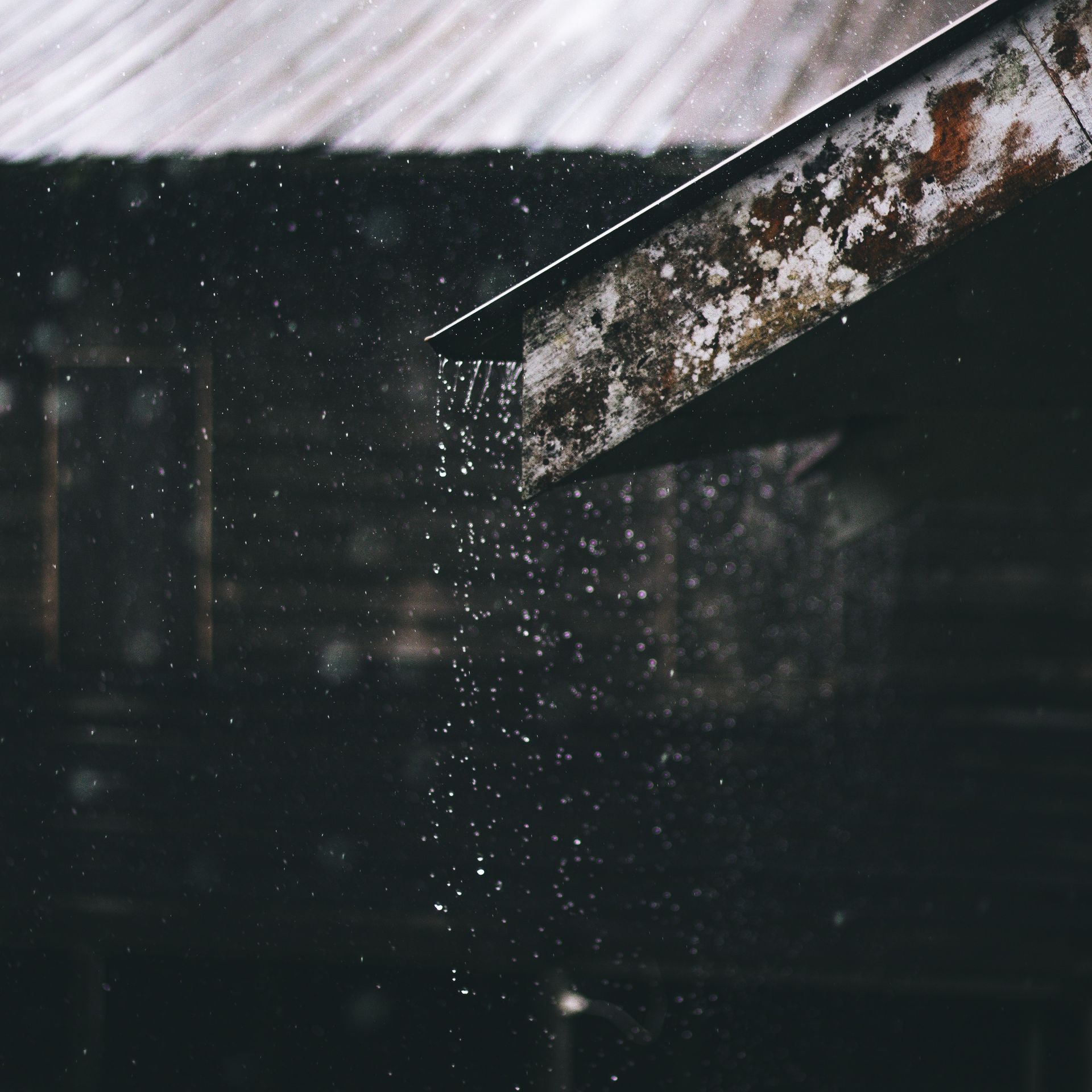 Blur Blurred Background Close Up 1915182 5cd5c6cbad5dd