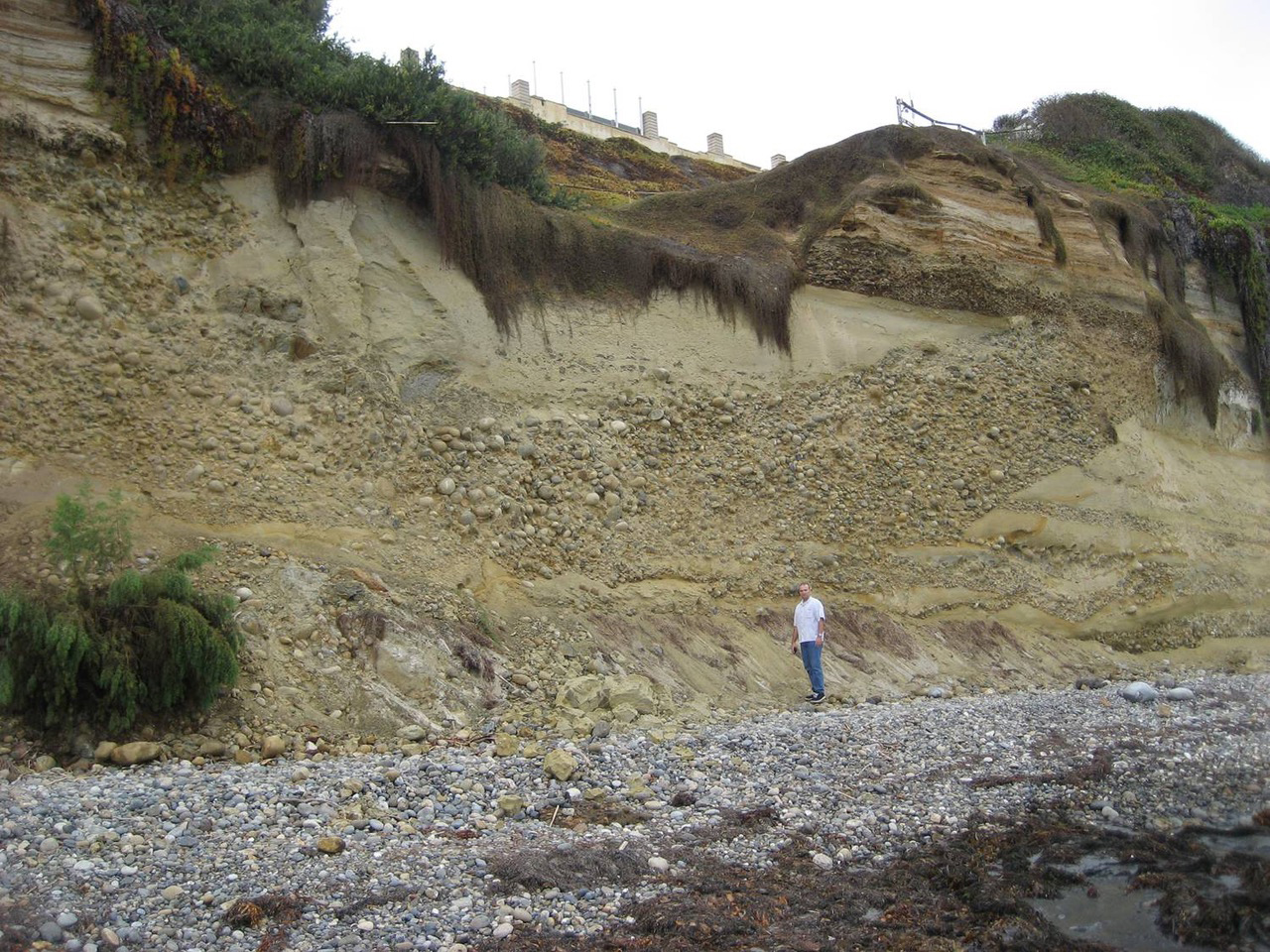 The choice of model is typically influenced by the purpose of the study and the scale of the study site.