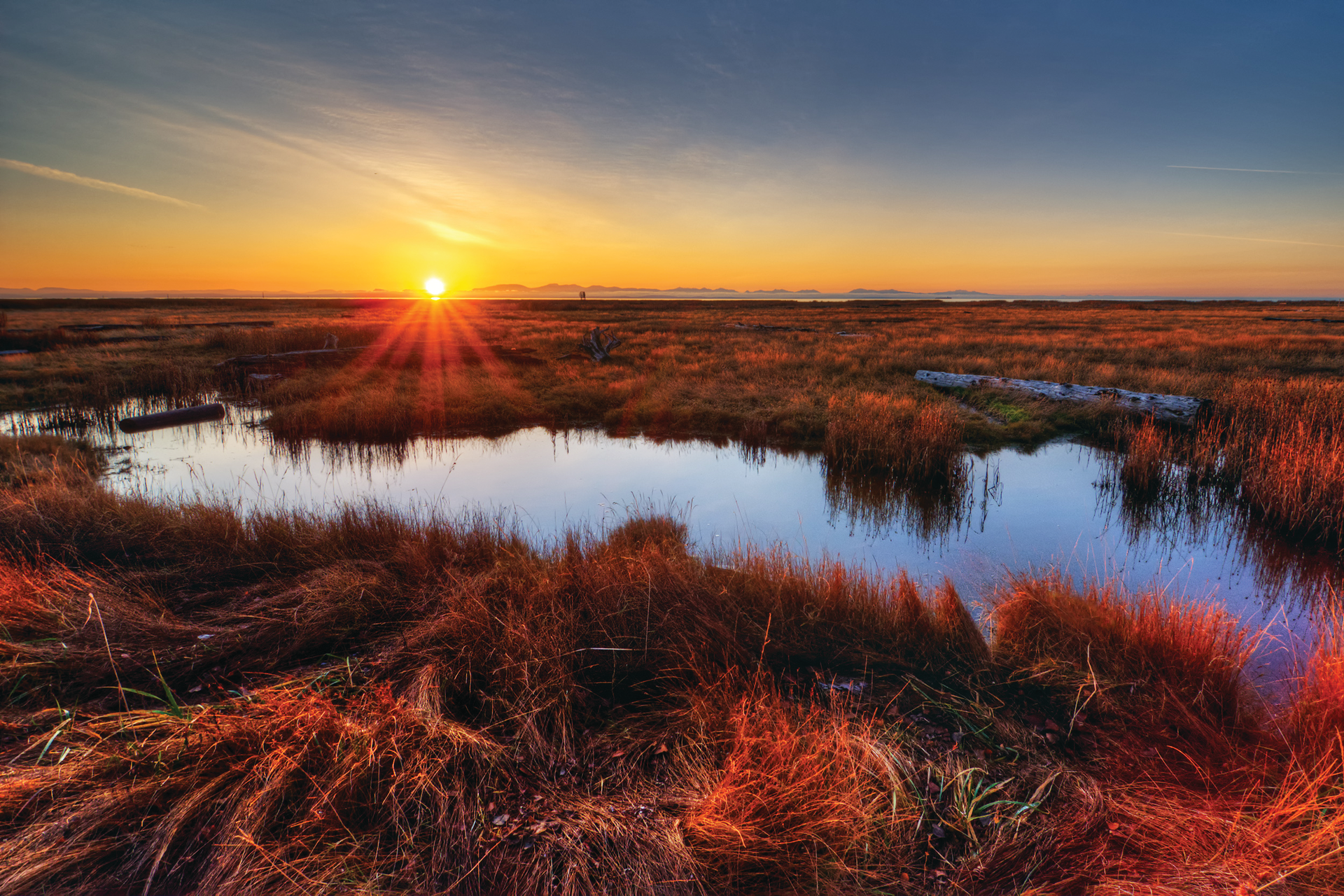 The Procedures will take effect nine months after approval by the state&rsquo;s Office of Administrative Law, which means they are likely to become effective near the end of the first quarter of 2020.