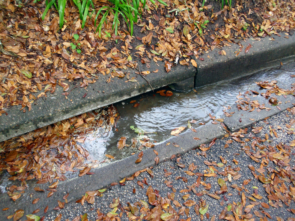 33977404116 D4c5123b83 B 5d5d5803b9cfb