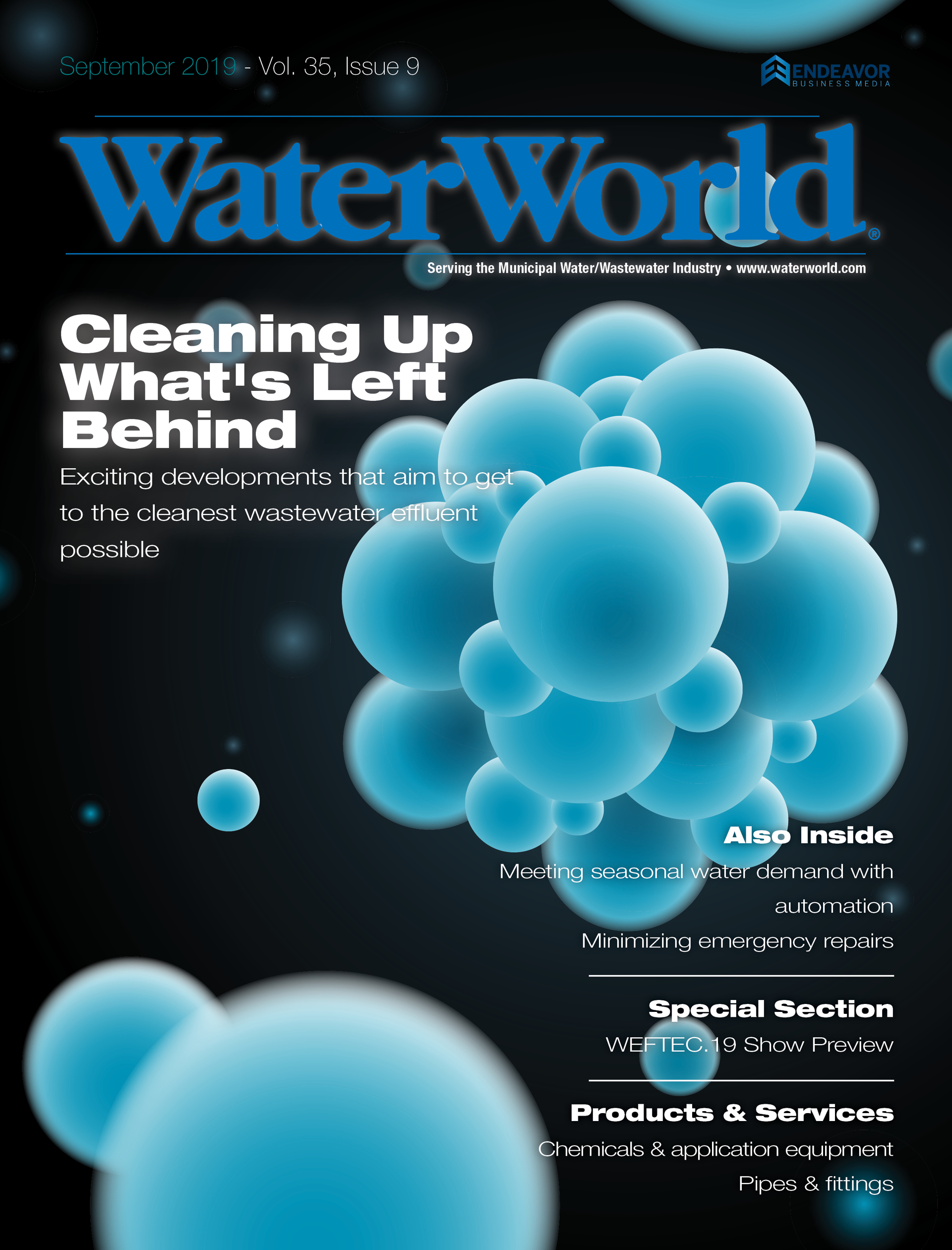 Volume 35, Issue 9, September 2019 cover image