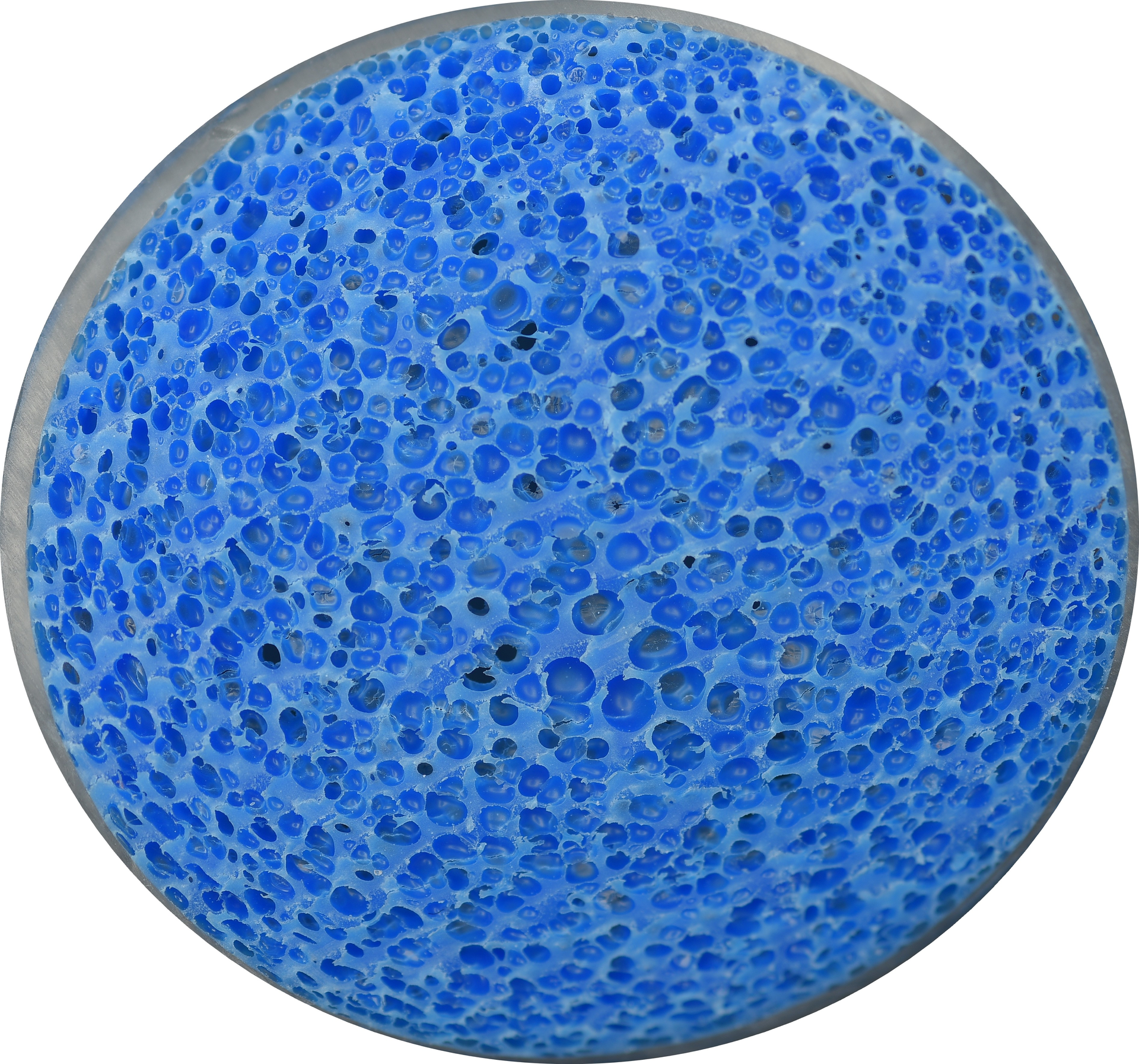 Mutag BioChip &trade; without biofilm.