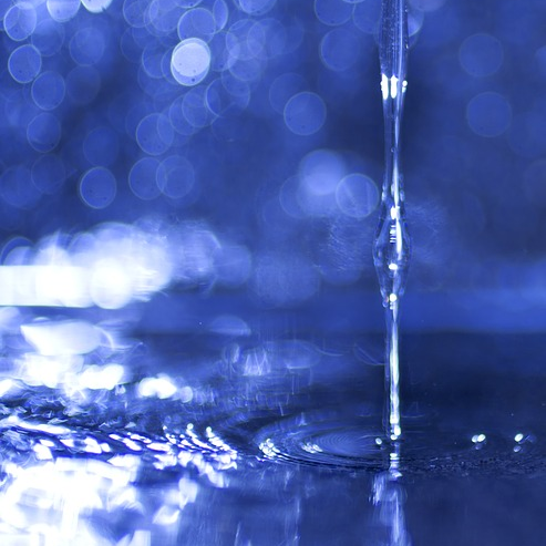 Image by Jill Fulton from Pixabay