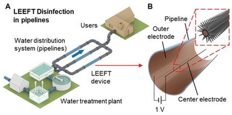 The device inactivates pathogens by irreversible electroporation from an enhanced electric field near the tips of the nanowires.