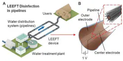 The device inactivates pathogens by irreversible electroporation from an enhanced electric field near the tips of the nanowires. The device inactivates pathogens by irreversible electroporation from an enhanced electric field near the tips of the nanowires.