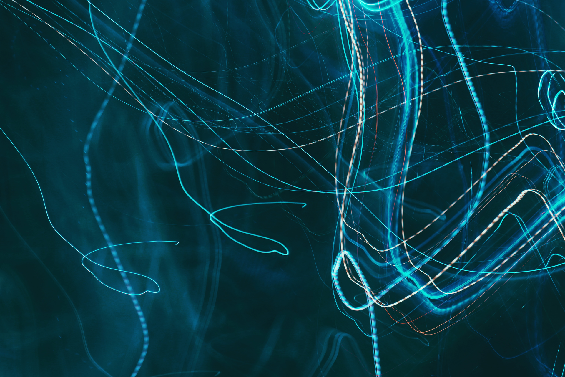 Nina Z V Kg1o Xu Vzo Unsplash 5e627ead48cfc