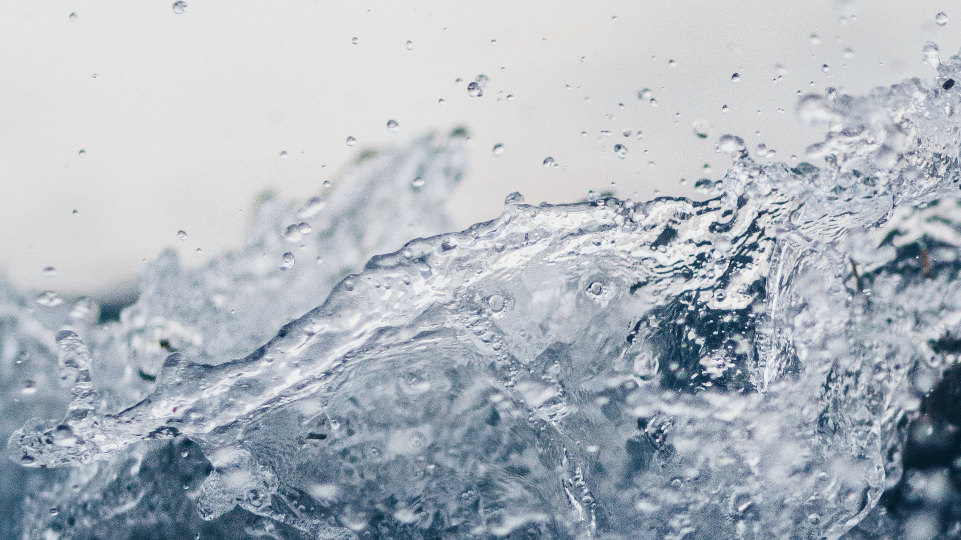 Samara Doole Pea Tni Zs U Qs Unsplash 1 5ea7474a34cc0