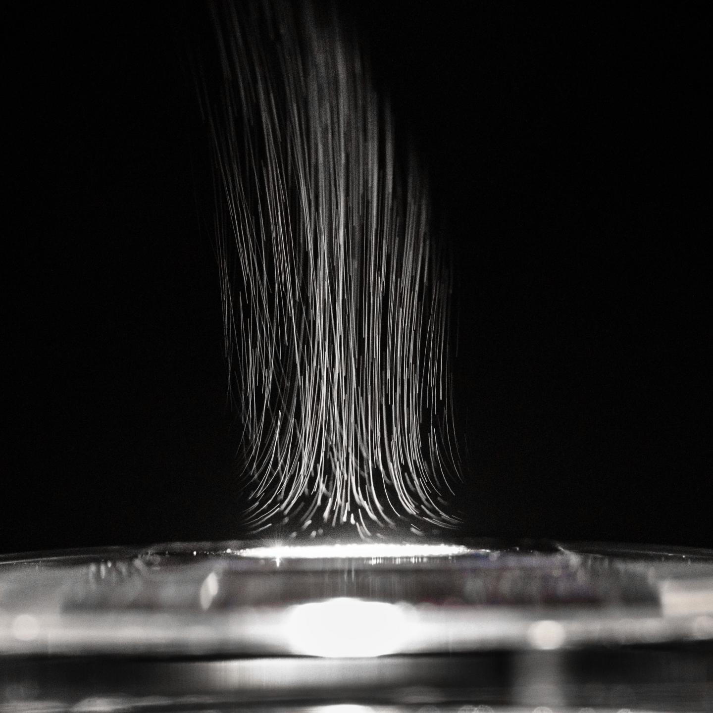 The water that passes through the system by evaporation becomes very high-quality drinking water.