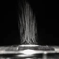 The water that passes through the system by evaporation becomes very high-quality drinking water. The water that passes through the system by evaporation becomes very high-quality drinking water.