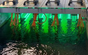 Waste Water 5ebab93b14a70