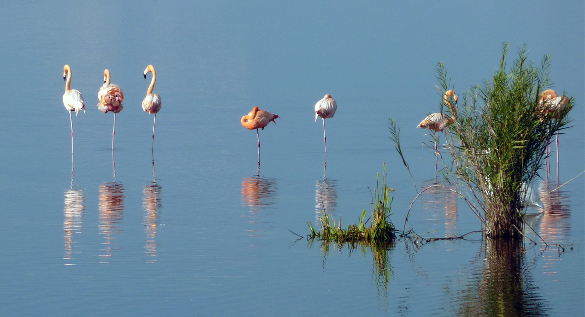 Website 1 5ec696d9a8b10